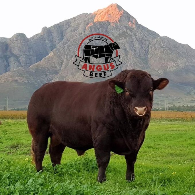 *** Know More About ANGUS Beef